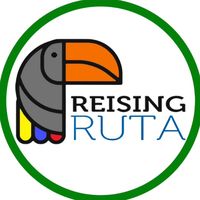 reisingruta