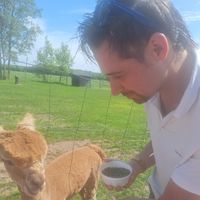 igwizardwideofficial