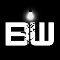 original sound - blaq.wealth