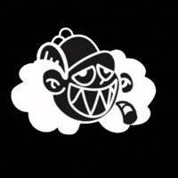 vvs13mrs