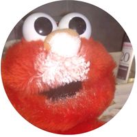 _estranha_e_apelido_