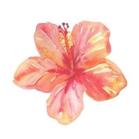 marrymephoebebridgers