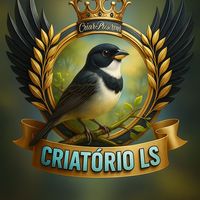 leosouzatorneiofibra