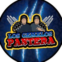 los.gemelos.pantera