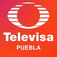 televisapuebla