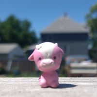 takecareofstrawberrycow