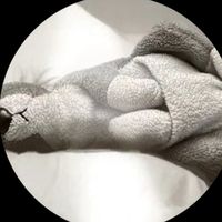 the grudge x drivers license