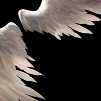 the.secret.account_5