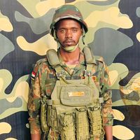 الصوت الأصلي