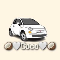21.fiat.500