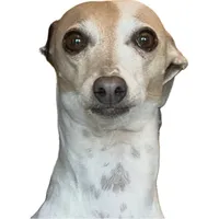 Sleepwalker x Icewhore