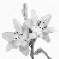 оригінальний звук