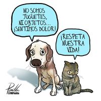 cesar.useches