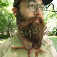 thatbeardedbugguy