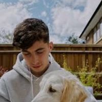 another.havertz.story