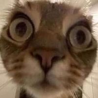 u should like follow me