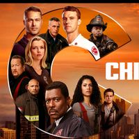 chicagofire28