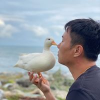 原聲 - 👍豪橫運輸👍_李承恩_小恩