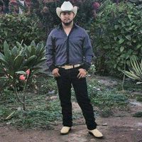 user2920344040718