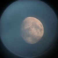 i was all over her by salvia palth