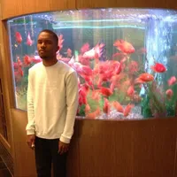 original sound - user2073917392