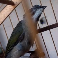 alexandre.martins273