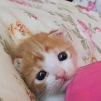 userbusy1077