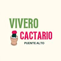 cactariopuentealto