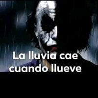 miguel786809