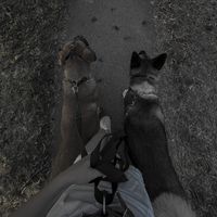 оригинальный звук