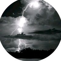 leo.love.signs2