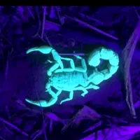 original sound - silent_hell09