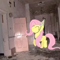 original sound - musik1509986854