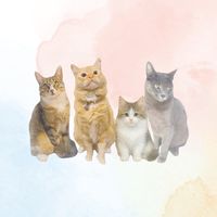 simplekitties