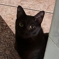 você me acha bonita