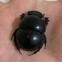 hey man I love u ur NO FUCKIN WAYY