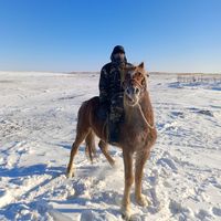 оригинальный звук