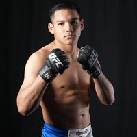 elgallodelgadillo1