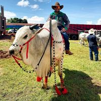 antonio.comentarista