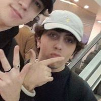 ailaviu_hdp