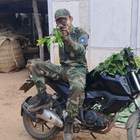 thawgyi848