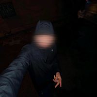 الصوت الأصلي