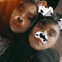 dafneapazaurbano2