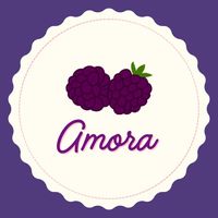 achados_amora