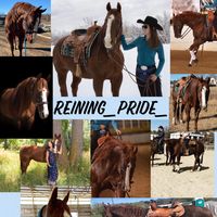 reining_pride_
