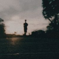 nndnp._