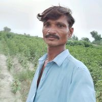 taryo.kolhi.sindh