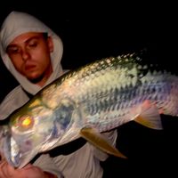 lunkers_leo