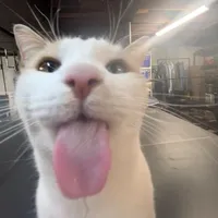 original sound - walangpangalan_