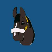 kht.konie_horsiaki
